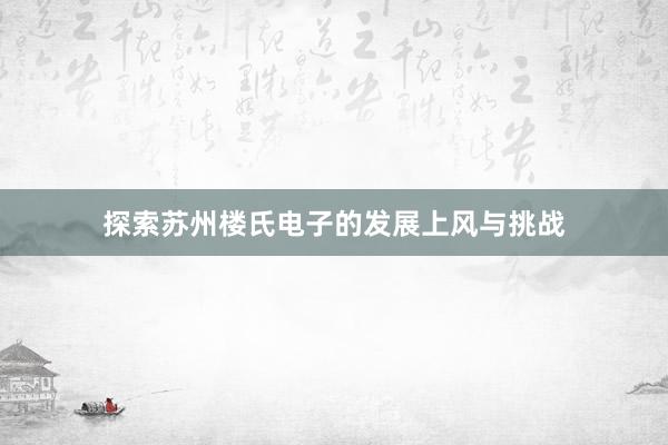 探索苏州楼氏电子的发展上风与挑战