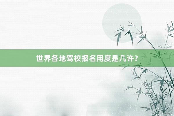 世界各地驾校报名用度是几许？