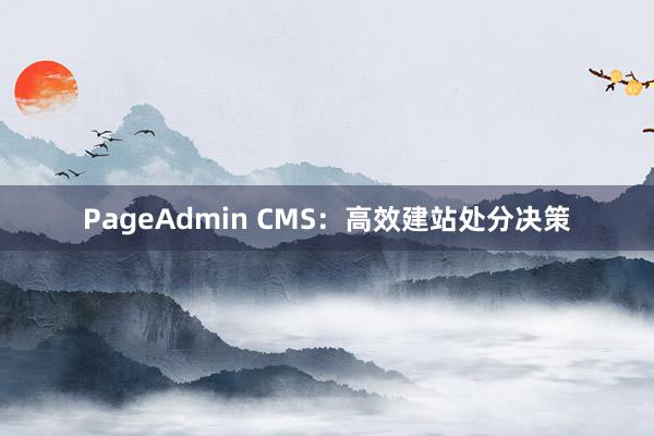 PageAdmin CMS：高效建站处分决策